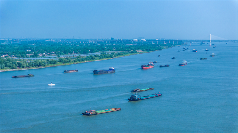 Anhui : les transports fluviaux sur le Yangtsé battent leur plein à Wuhu