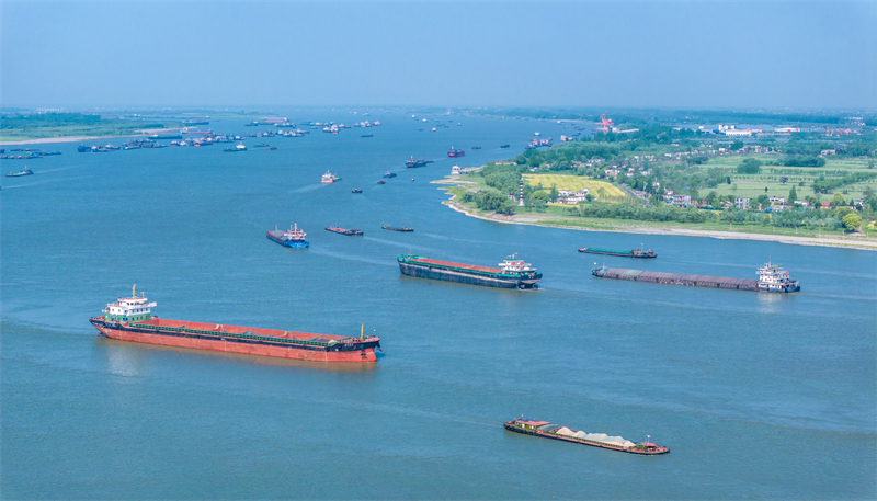 Anhui : les transports fluviaux sur le Yangtsé battent leur plein à Wuhu