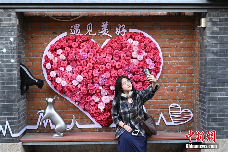 En photos : le nouveau romantisme des vieux hutongs de Beijing