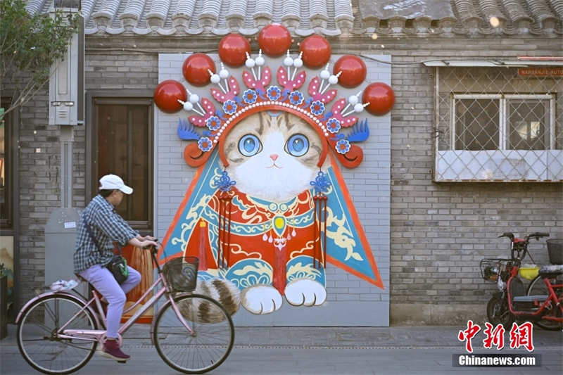 (Tian Yuhao / China News Service)