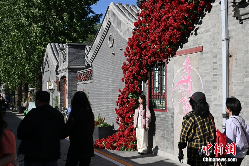 En photos : le nouveau romantisme des vieux hutongs de Beijing