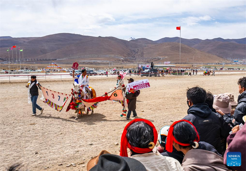 Xizang : des courses de chevaux organisées dans le comté de Damxung