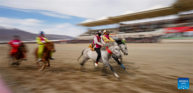 Xizang : des courses de chevaux organisées dans le comté de Damxung