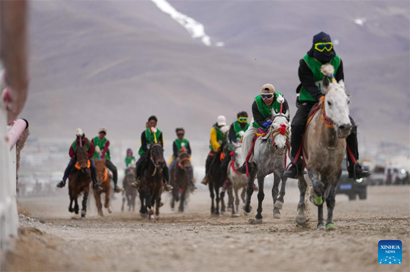 Xizang : des courses de chevaux organisées dans le comté de Damxung