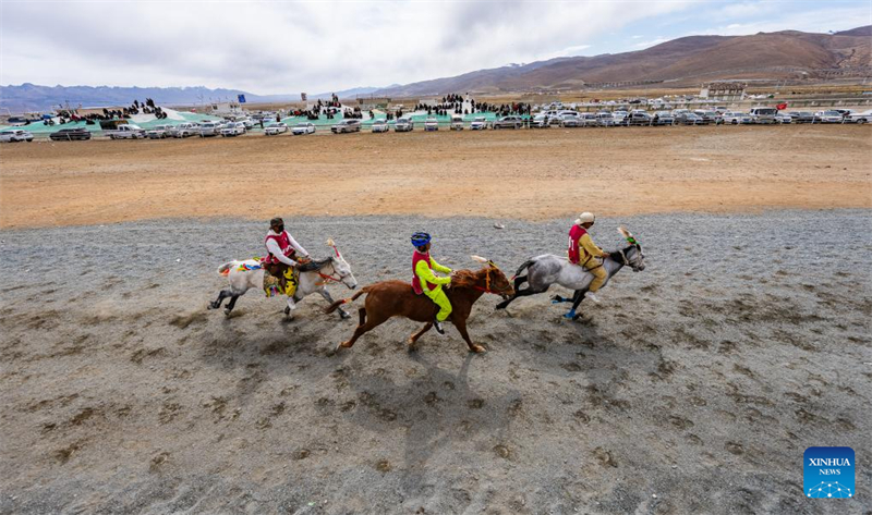 Xizang : des courses de chevaux organisées dans le comté de Damxung
