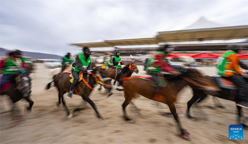 Xizang : des courses de chevaux organisées dans le comté de Damxung