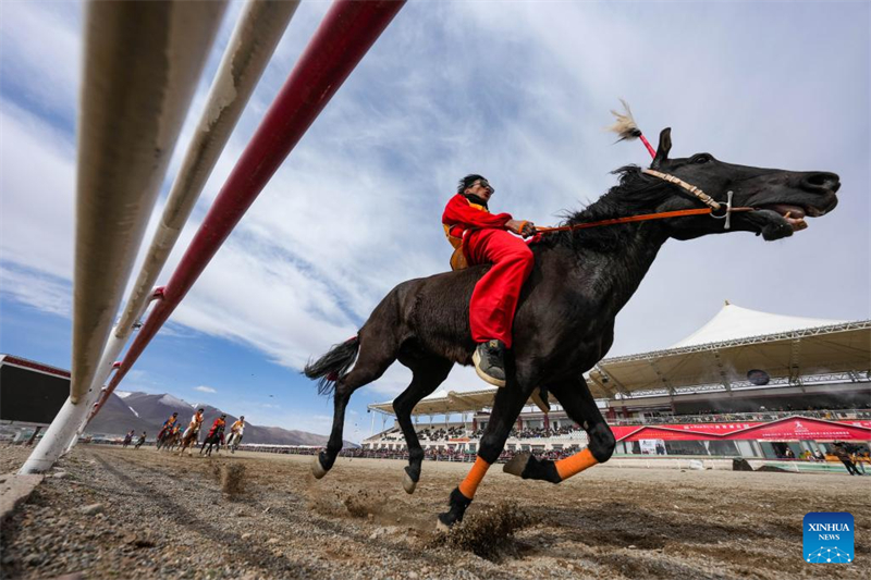 Xizang : des courses de chevaux organisées dans le comté de Damxung