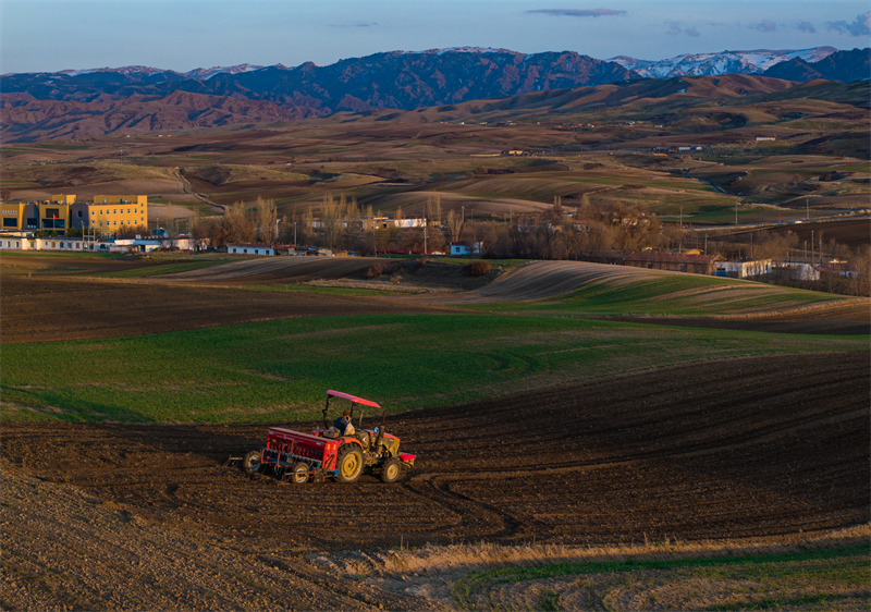 Xinjiang : les semis de printemps battent leur plein dans les champs de Mulei