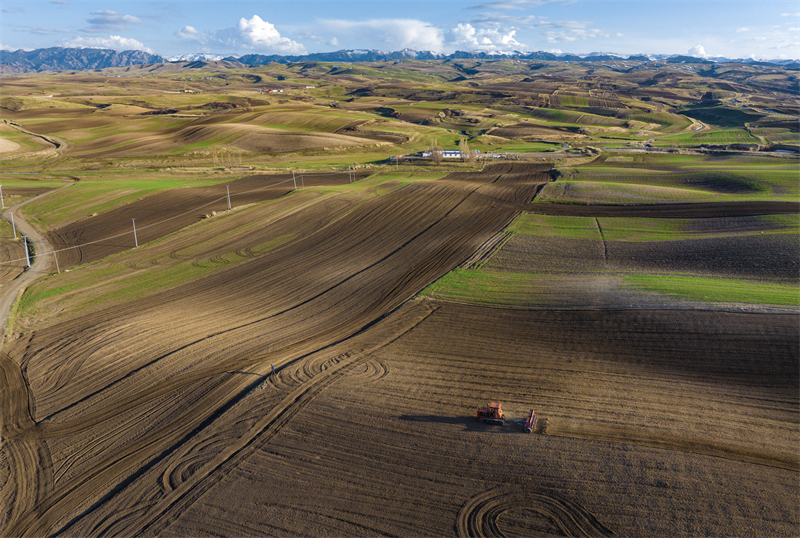 Xinjiang : les semis de printemps battent leur plein dans les champs de Mulei