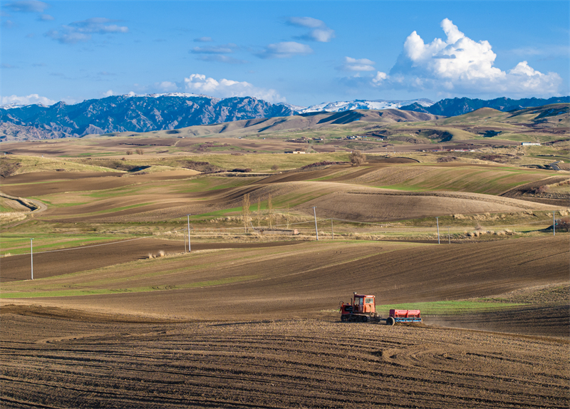 Xinjiang : les semis de printemps battent leur plein dans les champs de Mulei