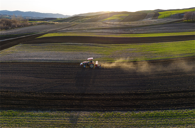 Xinjiang : les semis de printemps battent leur plein dans les champs de Mulei