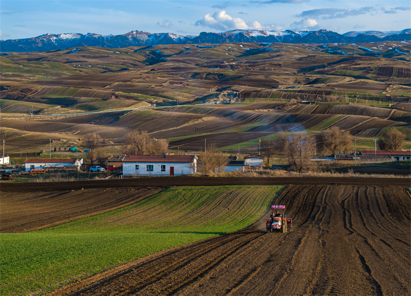 Xinjiang : les semis de printemps battent leur plein dans les champs de Mulei