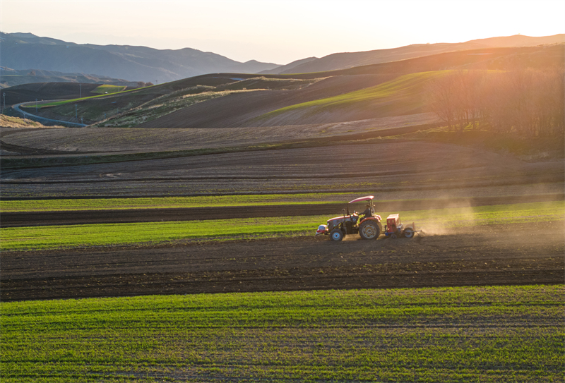 Xinjiang : les semis de printemps battent leur plein dans les champs de Mulei
