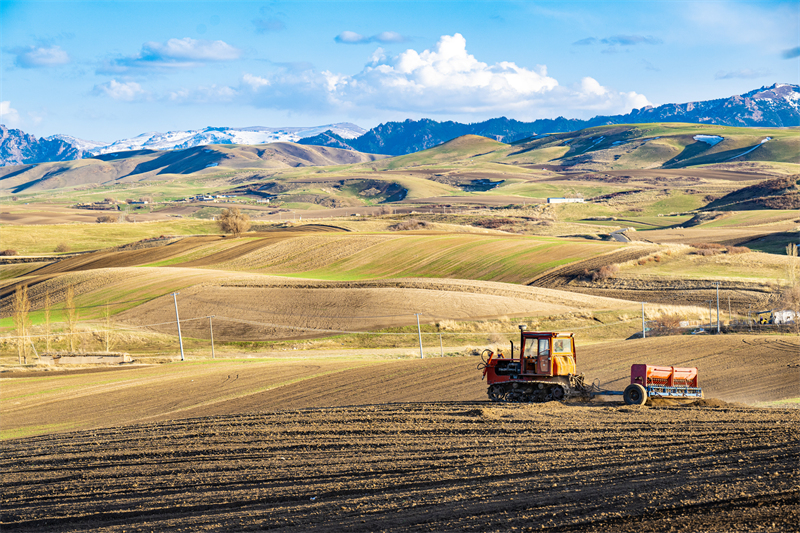 Xinjiang : les semis de printemps battent leur plein dans les champs de Mulei