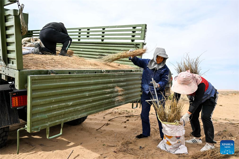 Mongolie intérieure : la bannière de Hangjin promet de poursuivre les efforts d'écologisation du désert