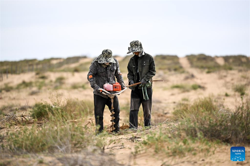 Mongolie intérieure : la bannière de Hangjin promet de poursuivre les efforts d'écologisation du désert
