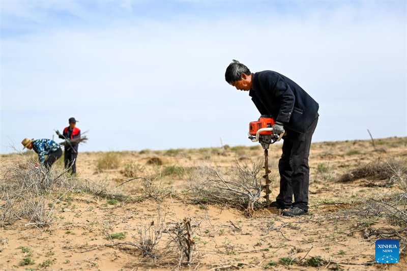 Mongolie intérieure : la bannière de Hangjin promet de poursuivre les efforts d'écologisation du désert
