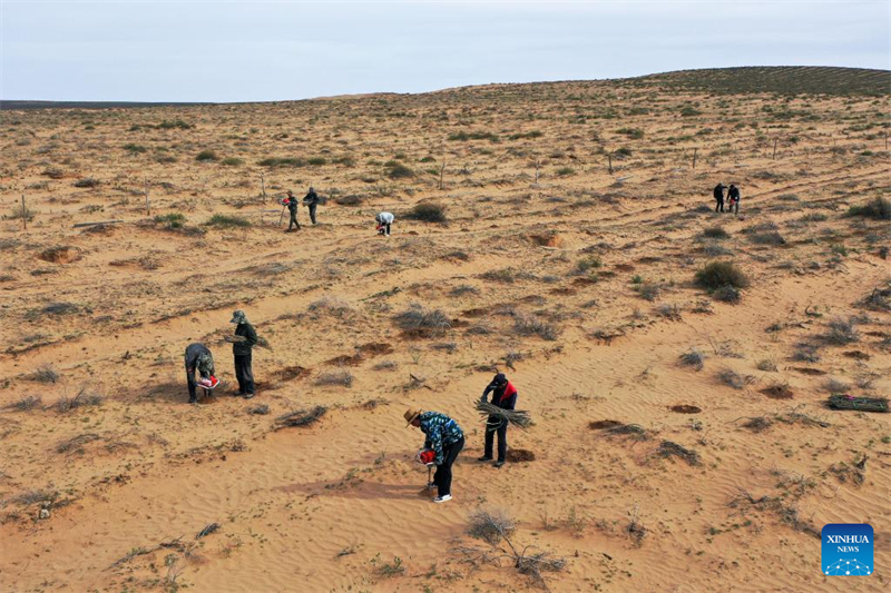Mongolie intérieure : la bannière de Hangjin promet de poursuivre les efforts d'écologisation du désert