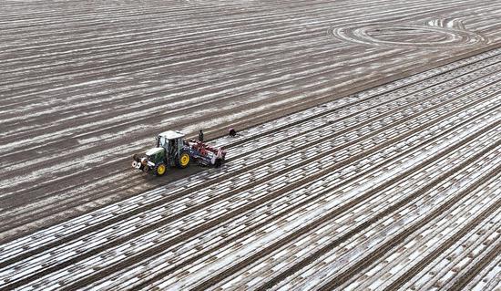 (Photo / China Daily)