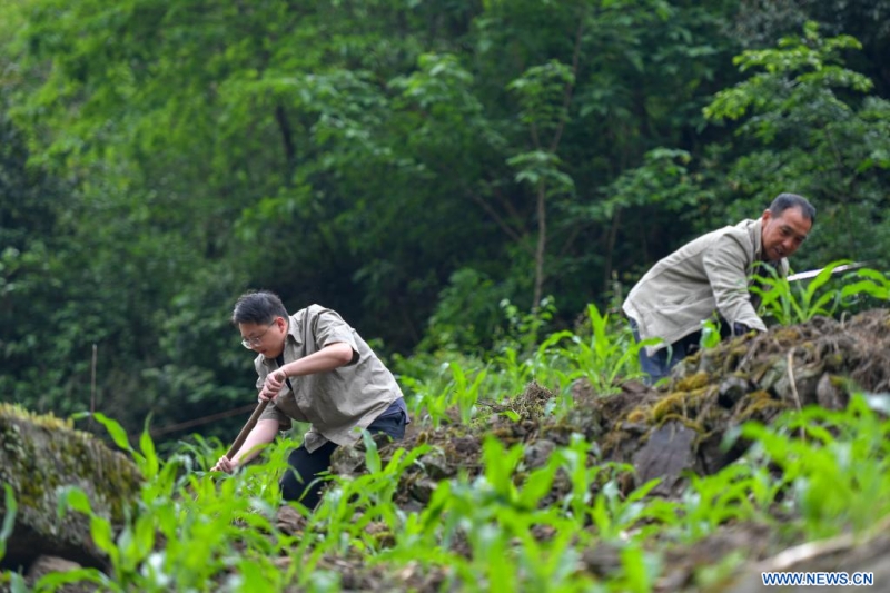 Chine : un jeune dipl?mé chinois contribue à la revitalisation rurale au Yunnan