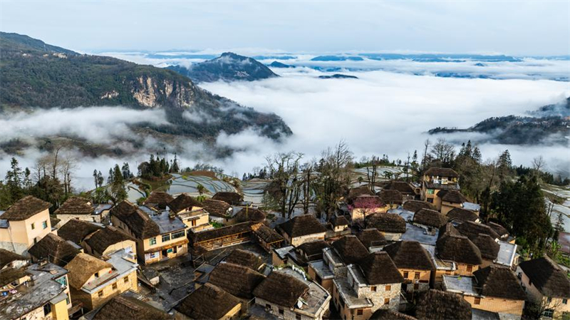 Yunnan : vieux de 1 300 ans, l'écosystème agricole des Hani est toujours bien vivant