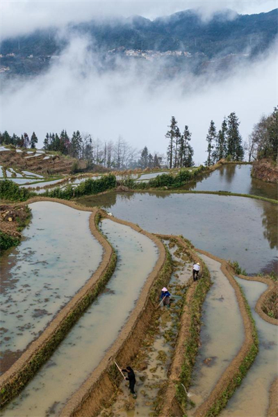 Yunnan : vieux de 1 300 ans, l'écosystème agricole des Hani est toujours bien vivant