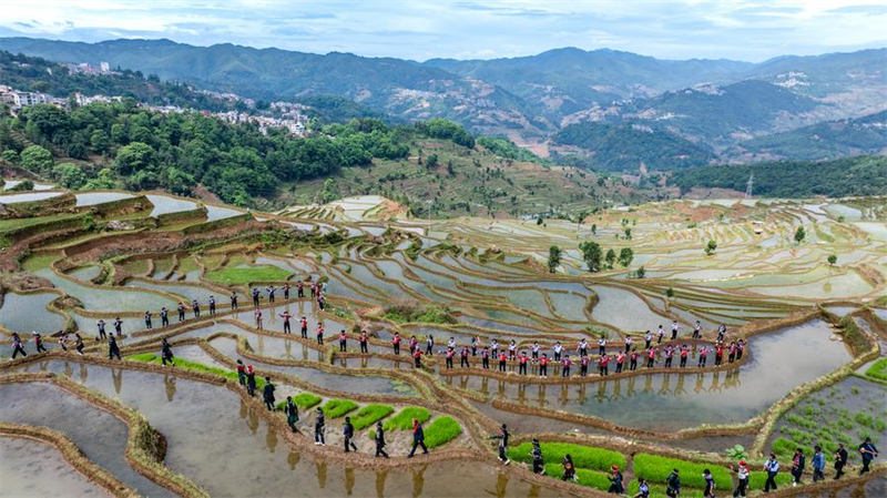Yunnan : vieux de 1 300 ans, l'écosystème agricole des Hani est toujours bien vivant