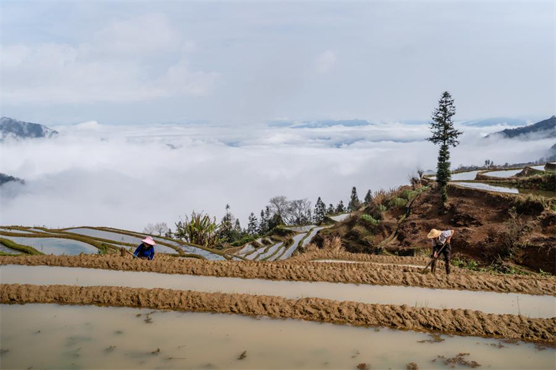 Yunnan : vieux de 1 300 ans, l'écosystème agricole des Hani est toujours bien vivant
