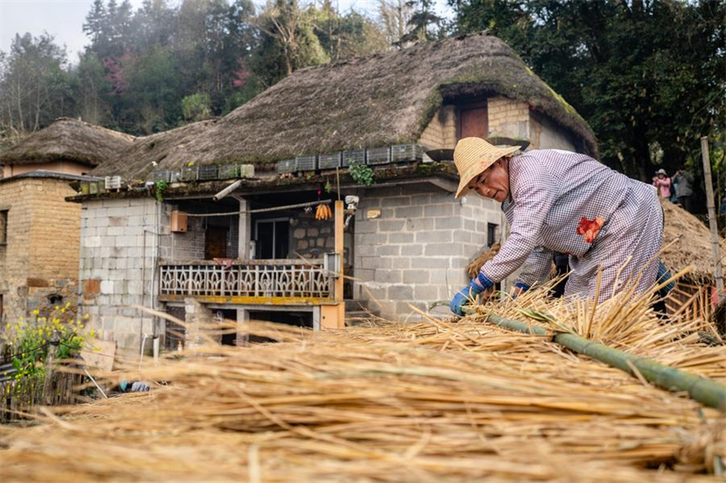 Yunnan : vieux de 1 300 ans, l'écosystème agricole des Hani est toujours bien vivant
