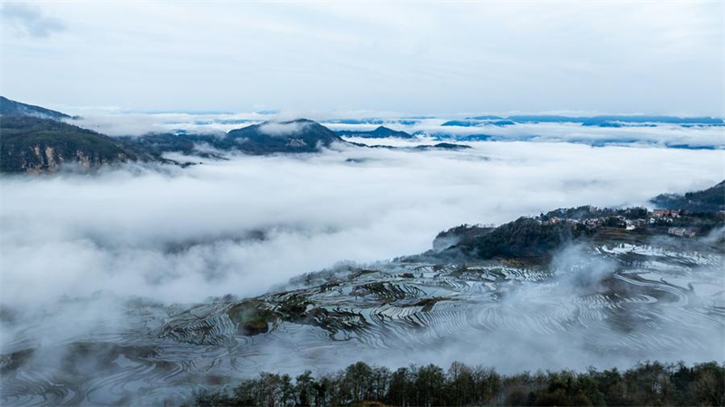 Yunnan : vieux de 1 300 ans, l'écosystème agricole des Hani est toujours bien vivant