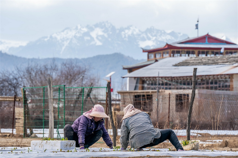 Yunnan : les paysages paradisiaques de Shangri-La
