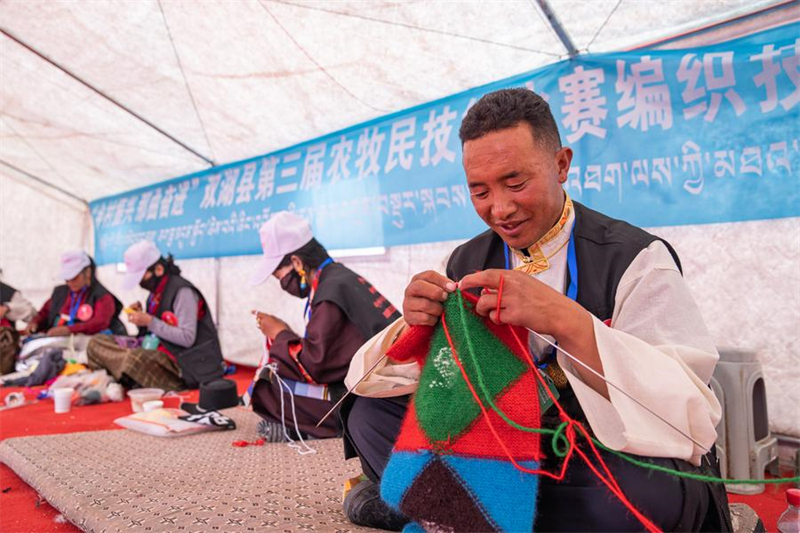 Xizang : Nagqu fait progresser le verdissement urbain sur ? le toit du toit du monde ?