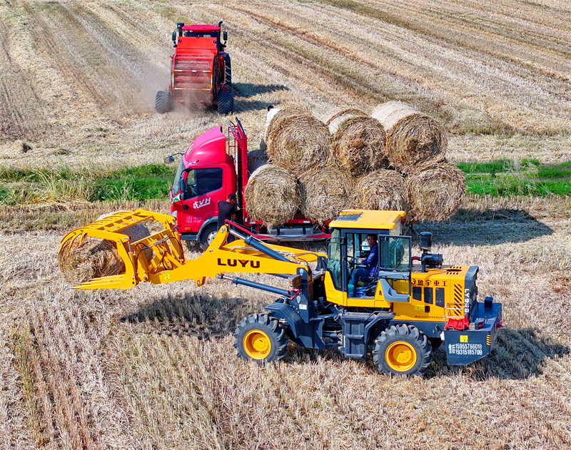 Jiangxi : on recycle la paille pour transformer les déchets en trésor à Jiujiang
