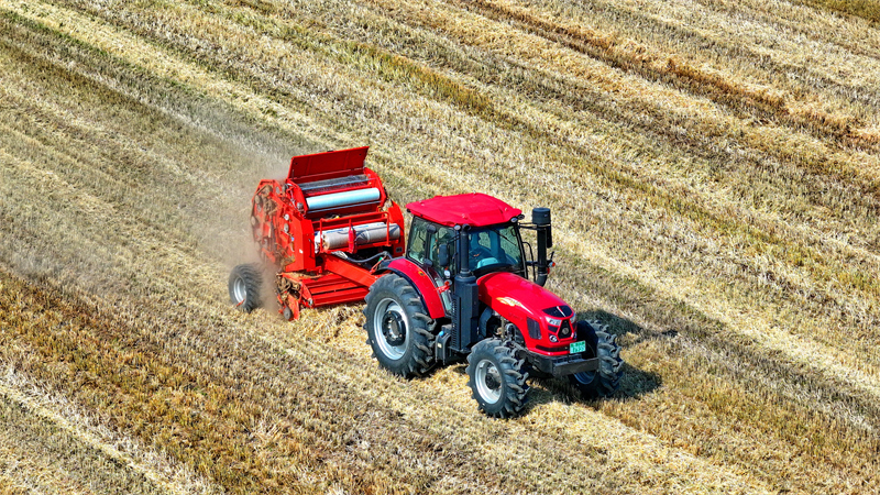 Jiangxi : on recycle la paille pour transformer les déchets en trésor à Jiujiang