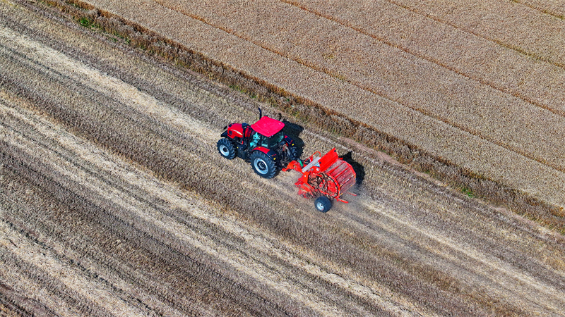 Jiangxi : on recycle la paille pour transformer les déchets en trésor à Jiujiang
