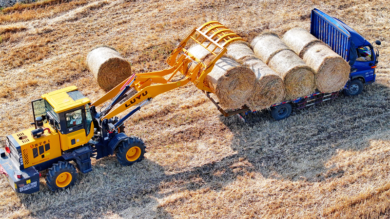 Jiangxi : on recycle la paille pour transformer les déchets en trésor à Jiujiang