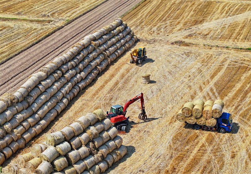 Jiangxi : on recycle la paille pour transformer les déchets en trésor à Jiujiang