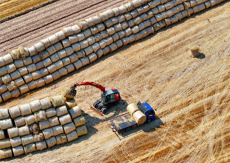 Jiangxi : on recycle la paille pour transformer les déchets en trésor à Jiujiang