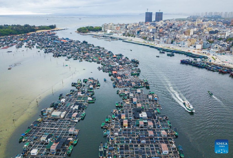 Hainan?: un aper?u de la culture des Tanka à Lingshui