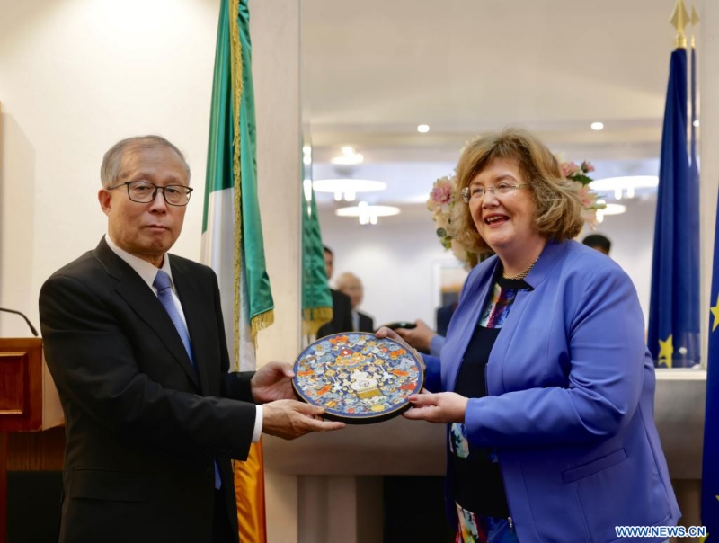 La Chine est prête à poursuivre des échanges législatifs amicaux avec l'Irlande