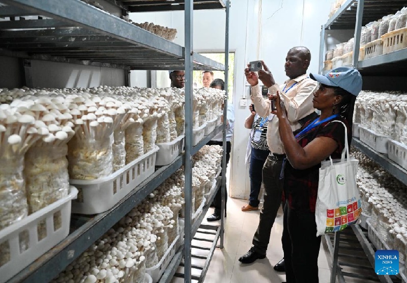 Fujian?: ouverture de la 20e?Conférence internationale sur le développement de l'industrie du Juncao à Fuzhou