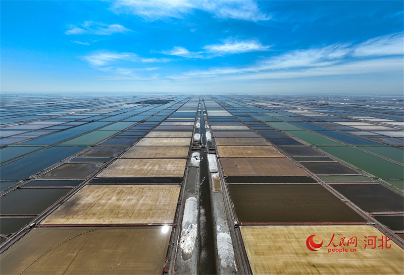 Hebei : une abondante récolte de sel de printemps à Caofeidian