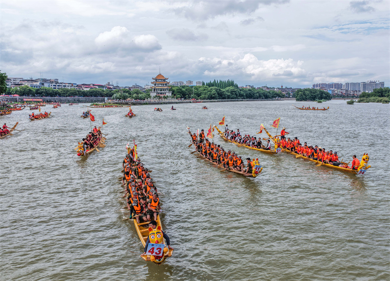 Hunan : une ? parade des Cent Dragons ? organisée dans le comté de Dao pour célébrer le Festival des bateaux-dragons