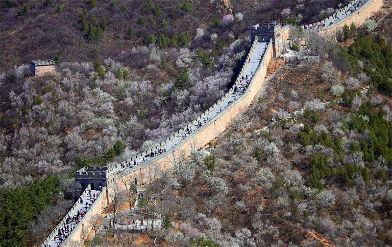 Photo prise le 2 avril 2025 montrante des touristes visitant la section de Badaling de la Grande Muraille à Beijing. (Zhang Xiuke / Pic.people.com.cn)