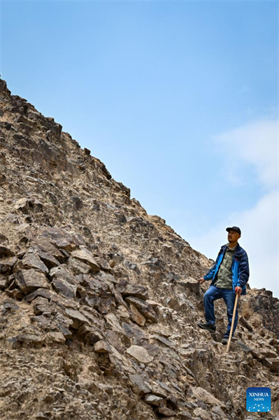 Ningxia : vingt ans en tant que gardien de la Grande Muraille