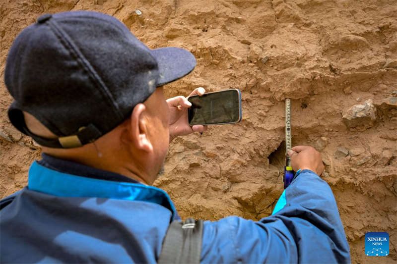 Ningxia : vingt ans en tant que gardien de la Grande Muraille