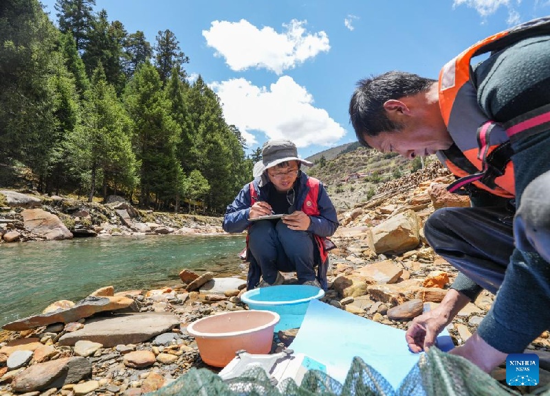 La Chine fait des progrès dans la protection de la biodiversité