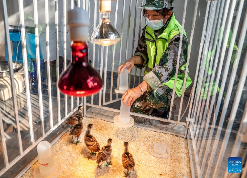 La Chine fait des progrès dans la protection de la biodiversité