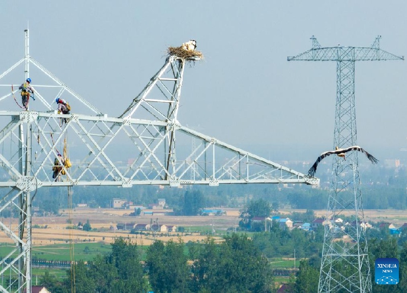 La Chine fait des progrès dans la protection de la biodiversité