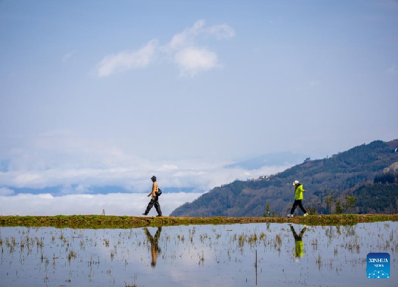 La Chine fait des progrès dans la protection de la biodiversité